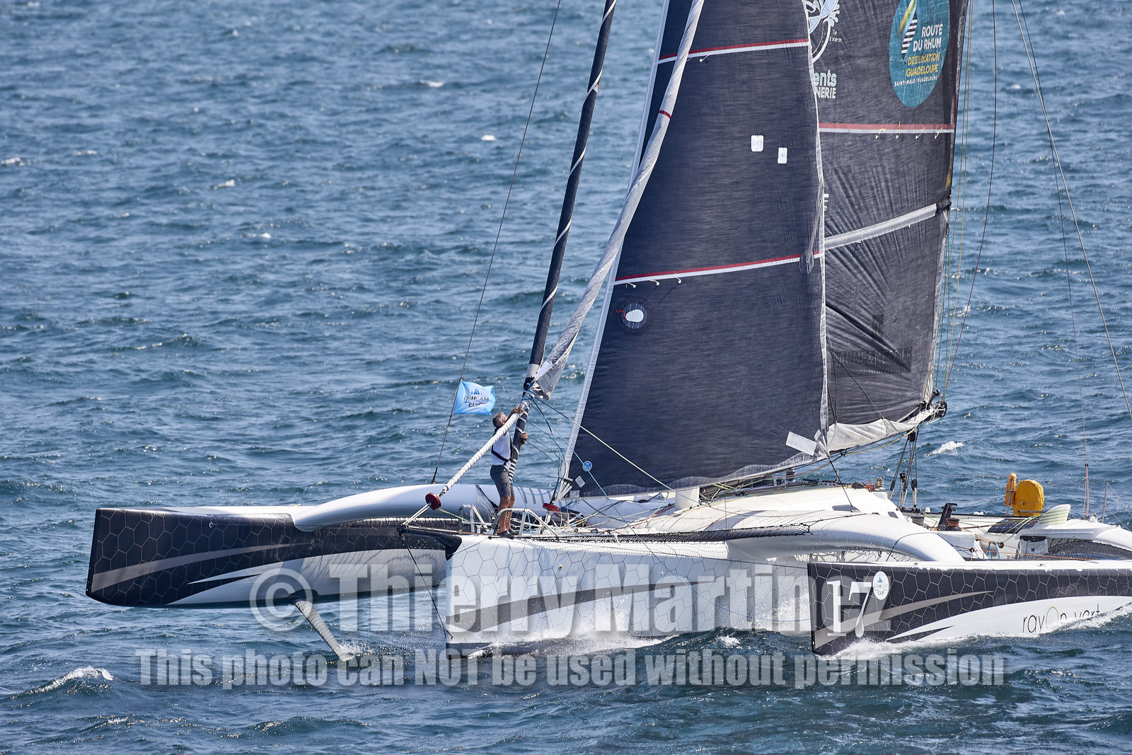 22_27354_DRHEAM CUP