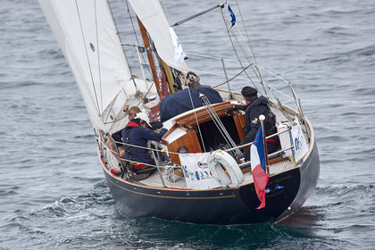THM-20_10894_DRHEAM CUP