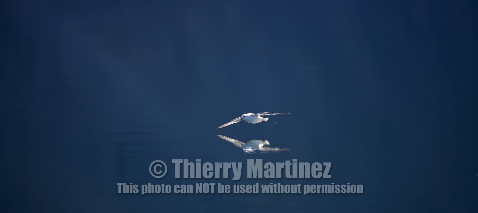 Schooner LA LOUISE sailing on west coast of Greenland.