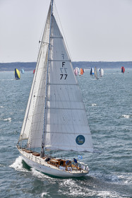 22_26925_DRHEAM CUP