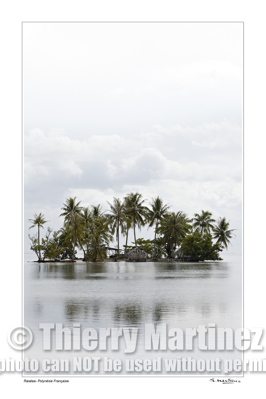 15_24428 - fond blanc -.jpg