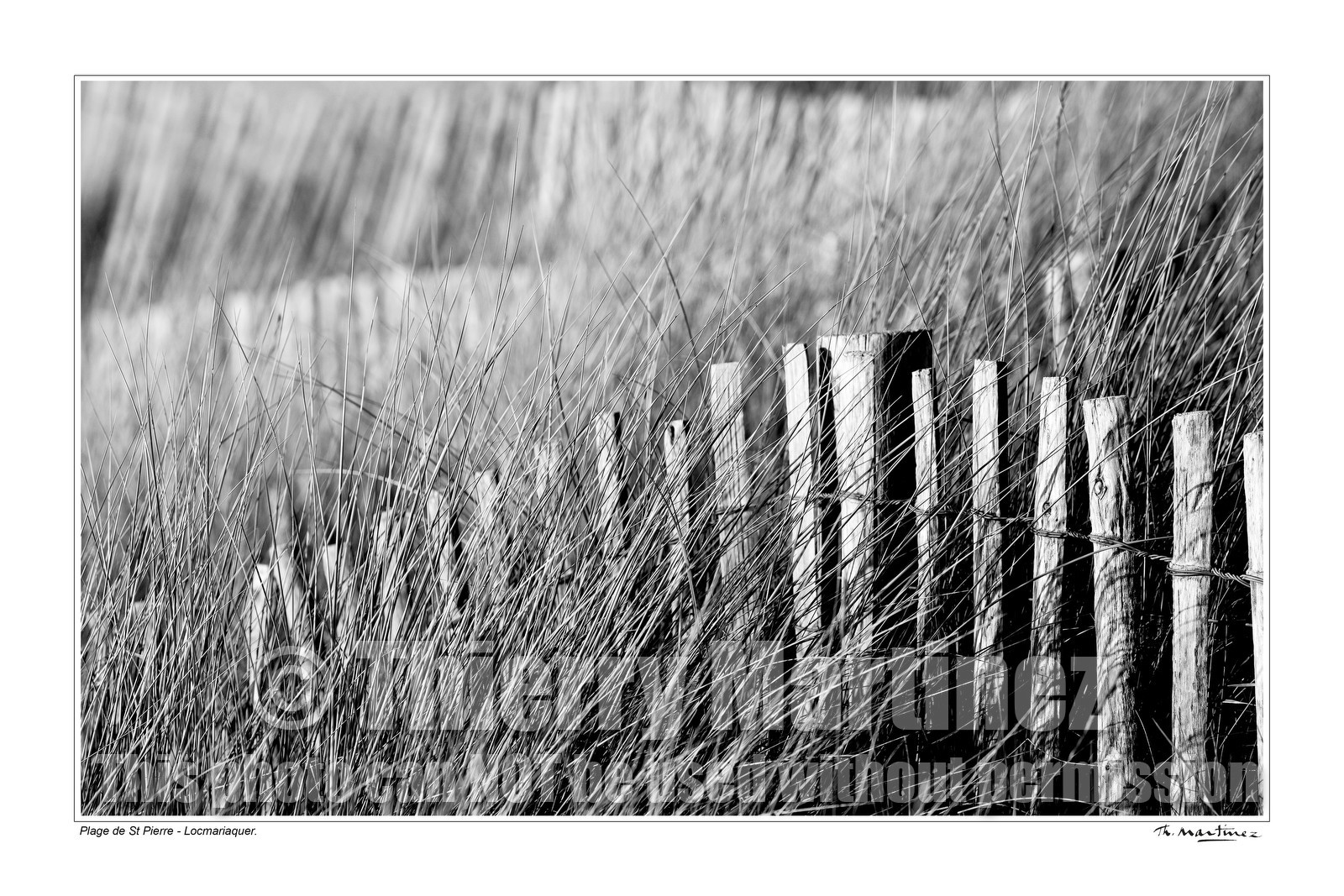 08_00019-St Pierre fond blanc-.jpg