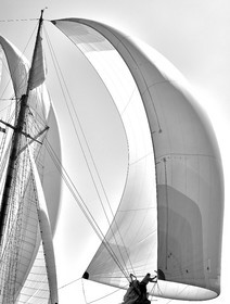 THM-21_23897_VOILES ST TROPEZ DAY 4