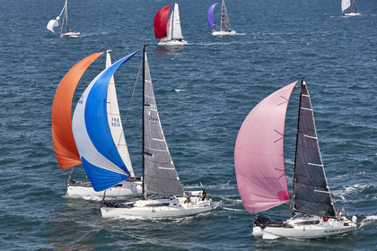 22_26893_DRHEAM CUP