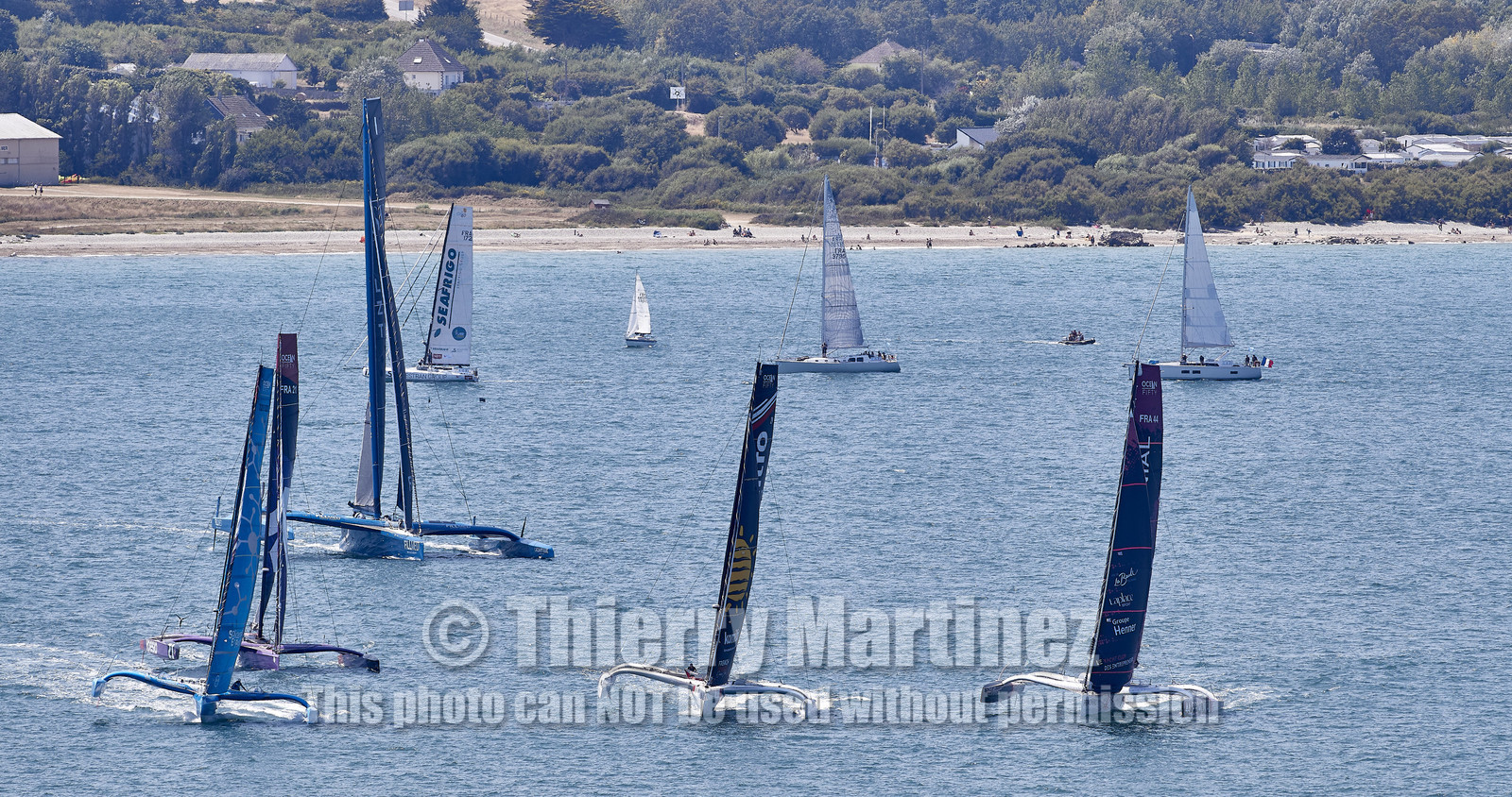 22_26929_DRHEAM CUP