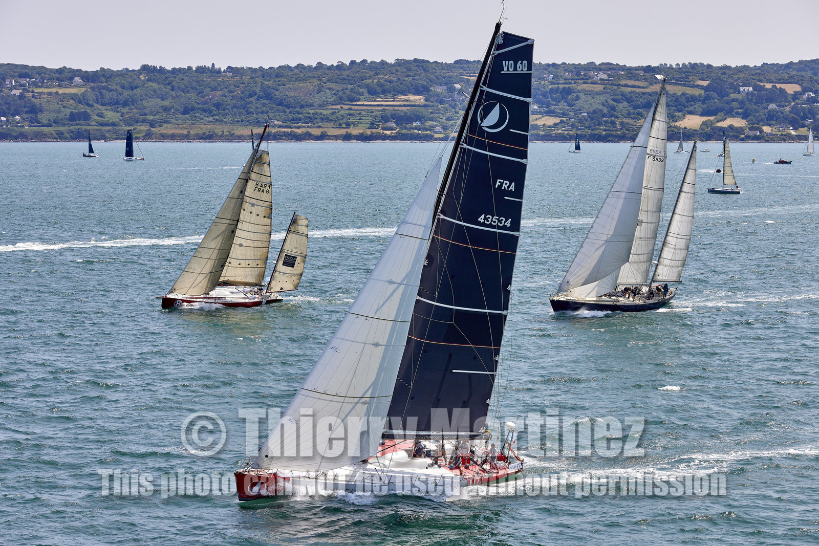 22_26162_DRHEAM CUP