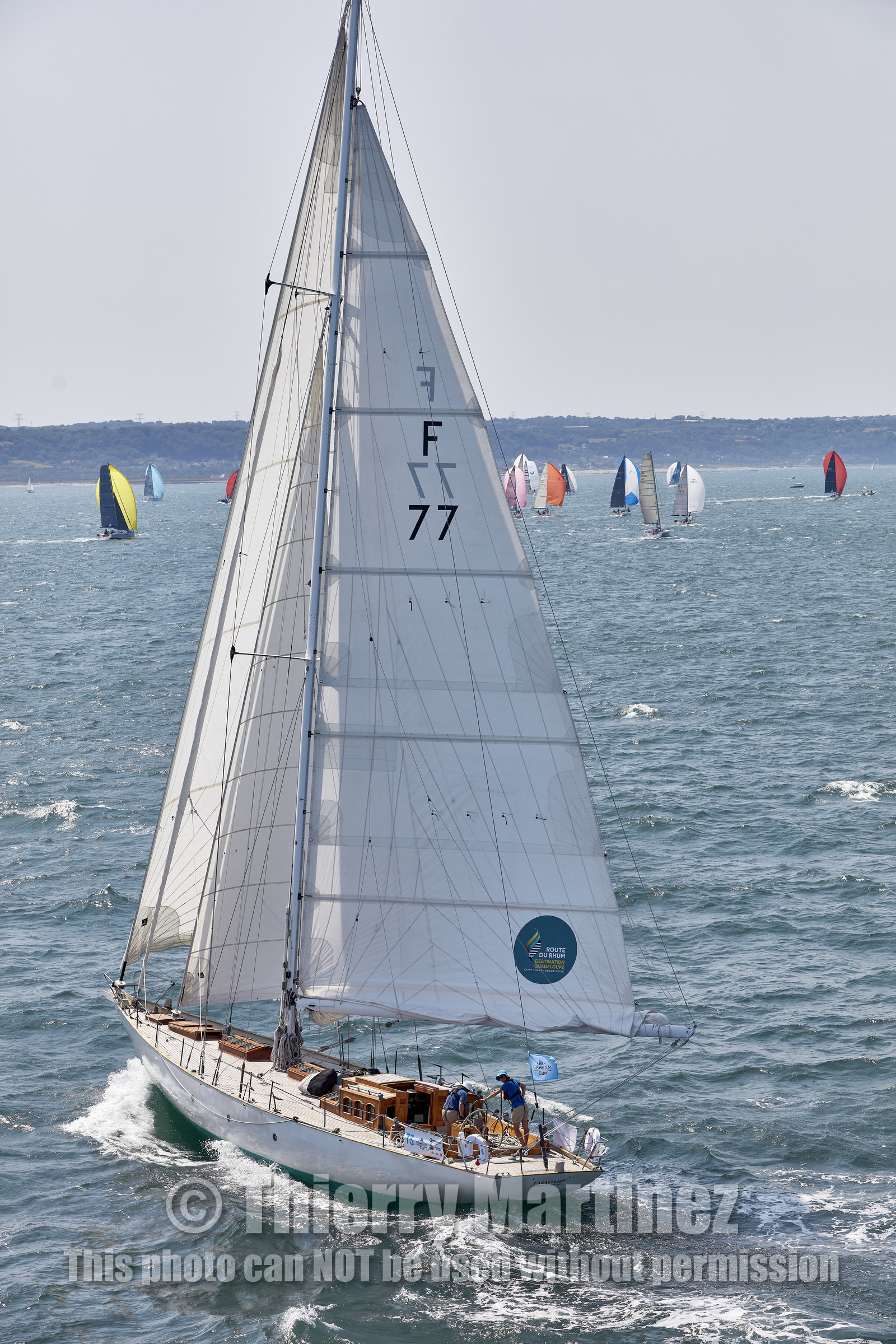 22_26925_DRHEAM CUP