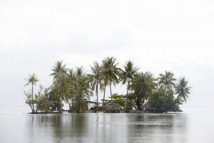 15_024422-RAIATEA