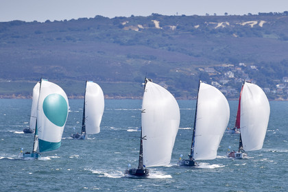 22_27114_DRHEAM CUP