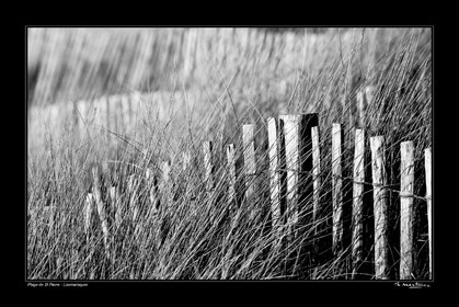 08_00019-St Pierre fond noir-.jpg