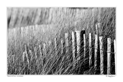 08_00019-St Pierre fond blanc-.jpg