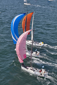 22_26896_DRHEAM CUP