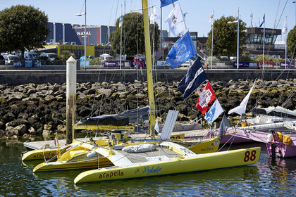 THM-20_08645_DRHEAM CUP