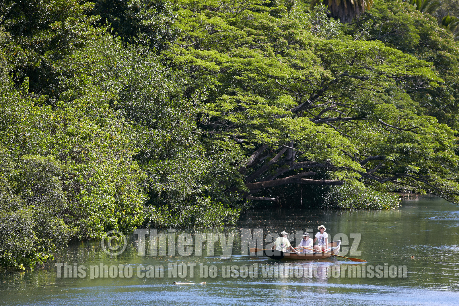 13_22091 Hawaii