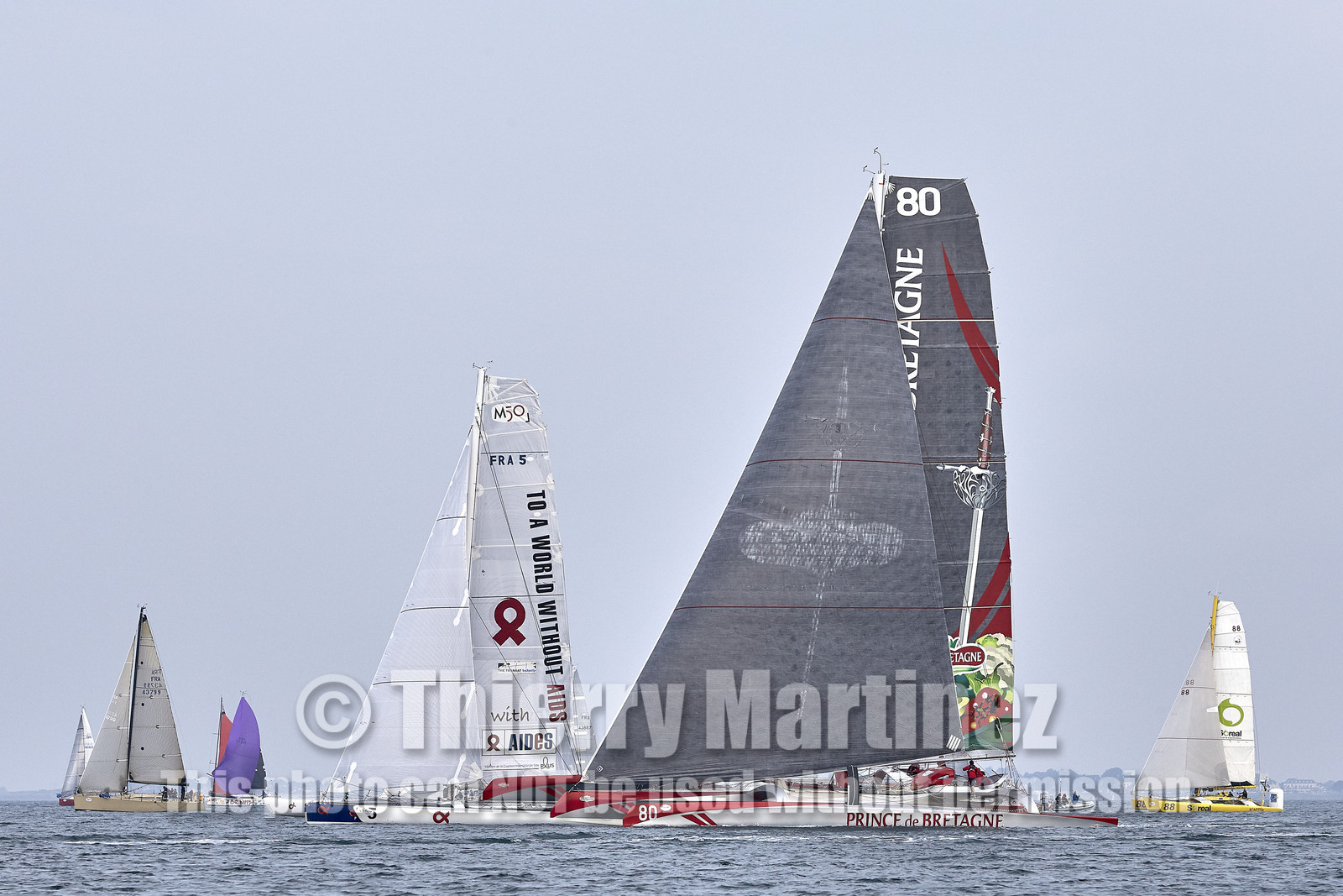 16_46955-DREAHM CUP 2016