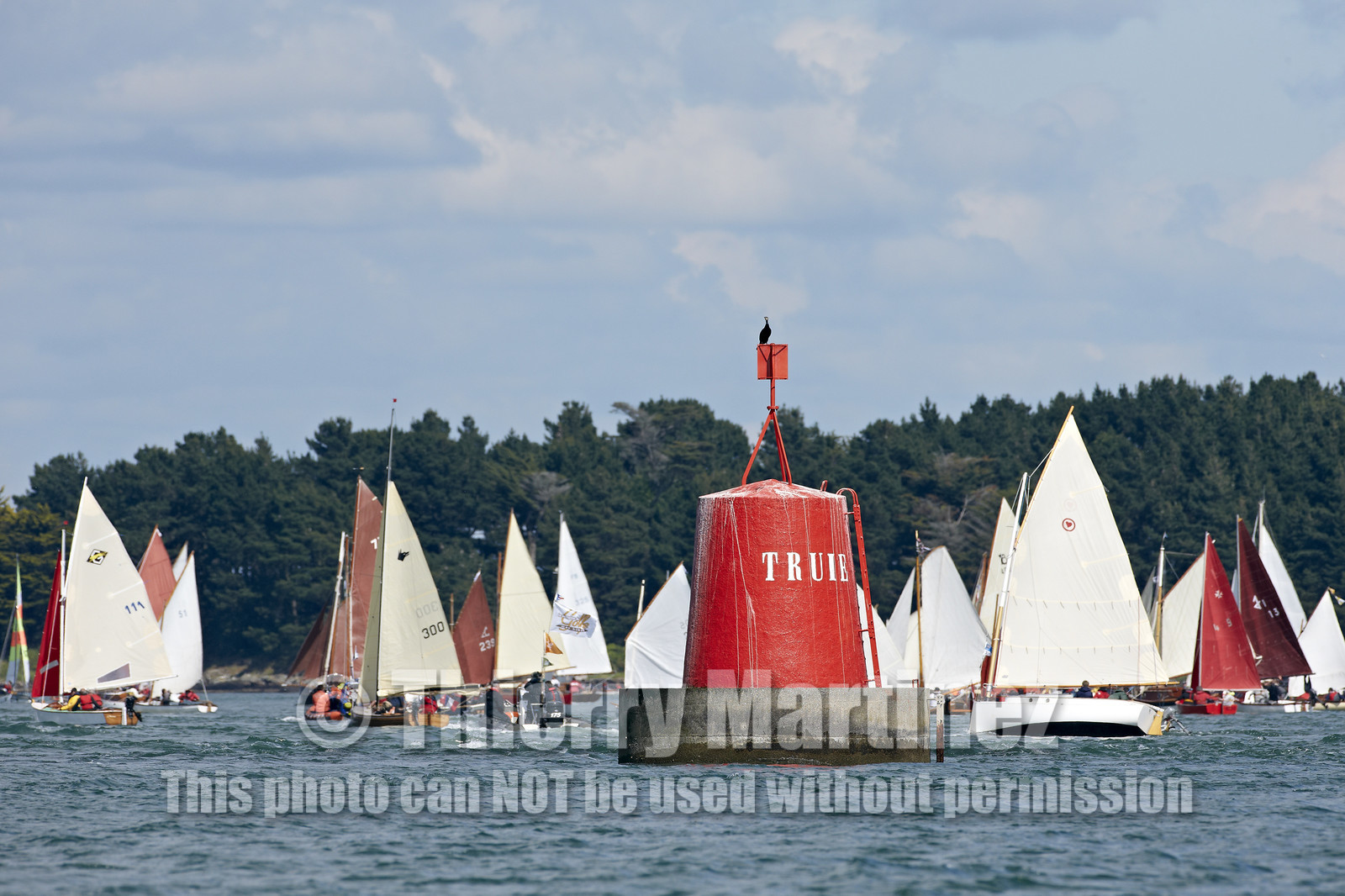 THM-15_48358-SEMAINE du Golfe