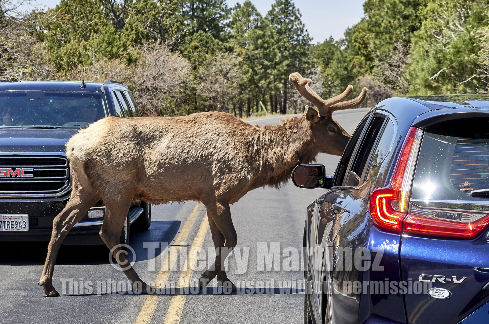 THM-18_058092-GRAND CANYON