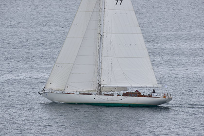 THM-20_10870_DRHEAM CUP
