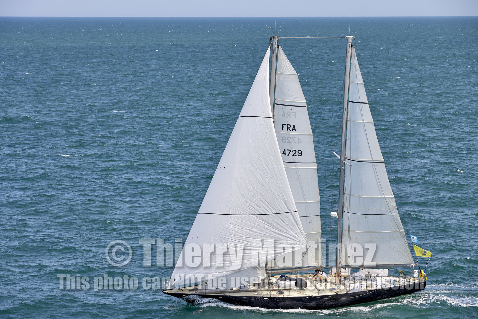 22_26276_DRHEAM CUP