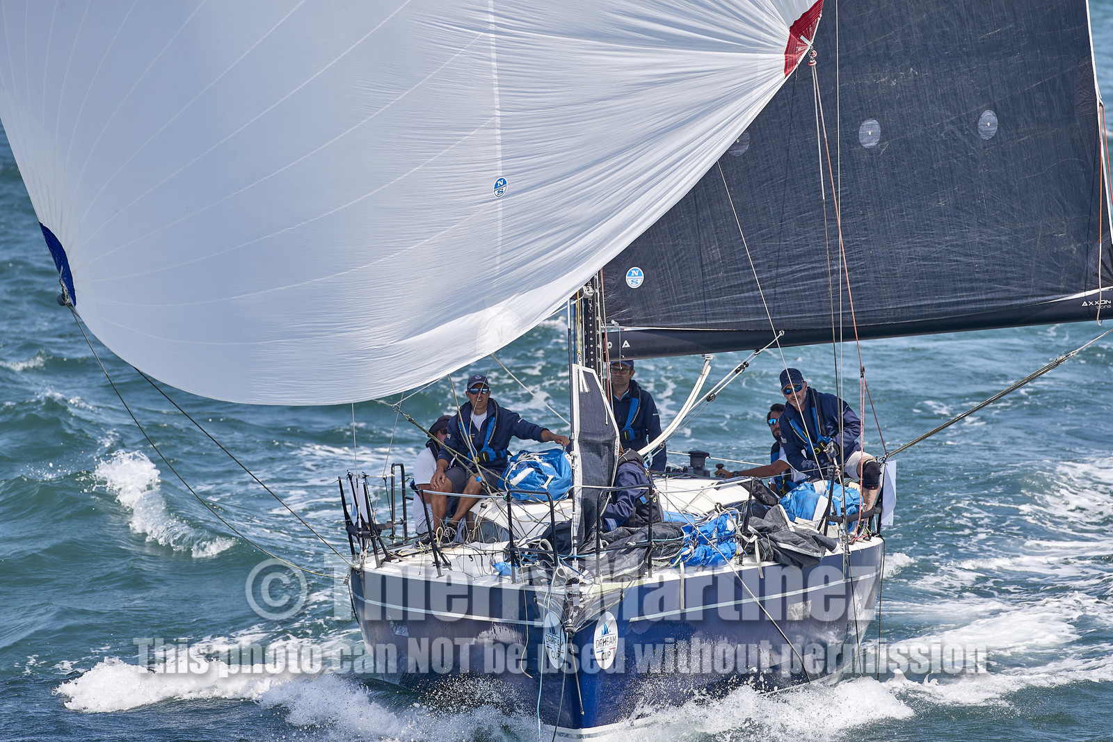 22_27429_DRHEAM CUP