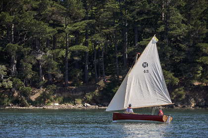 THM-17_011775-Semaine du Golfe
