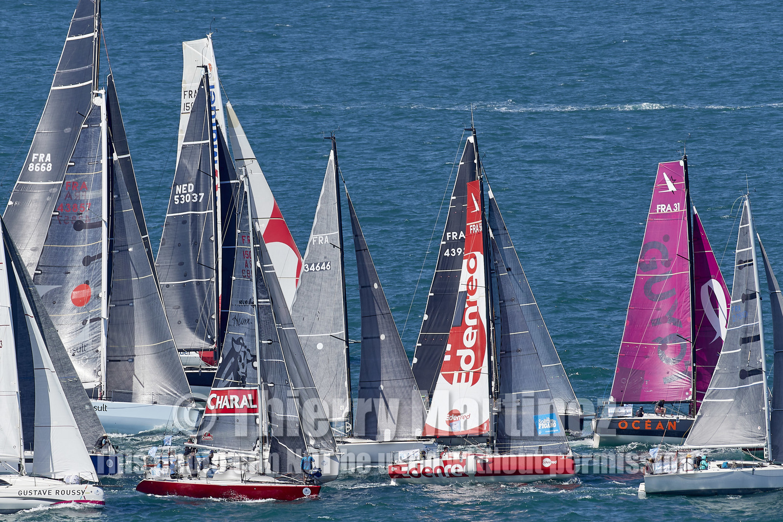 22_24613_DRHEAM CUP