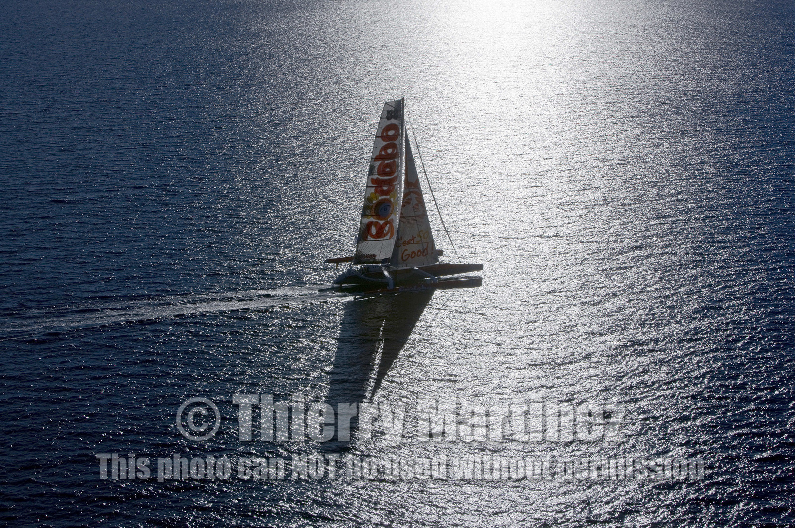 2010 Route du Rhum.
