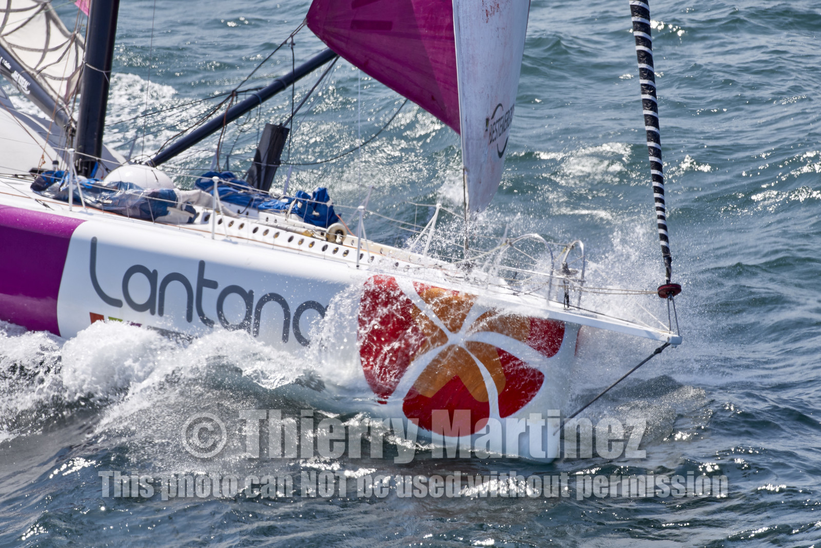 22_26952_DRHEAM CUP
