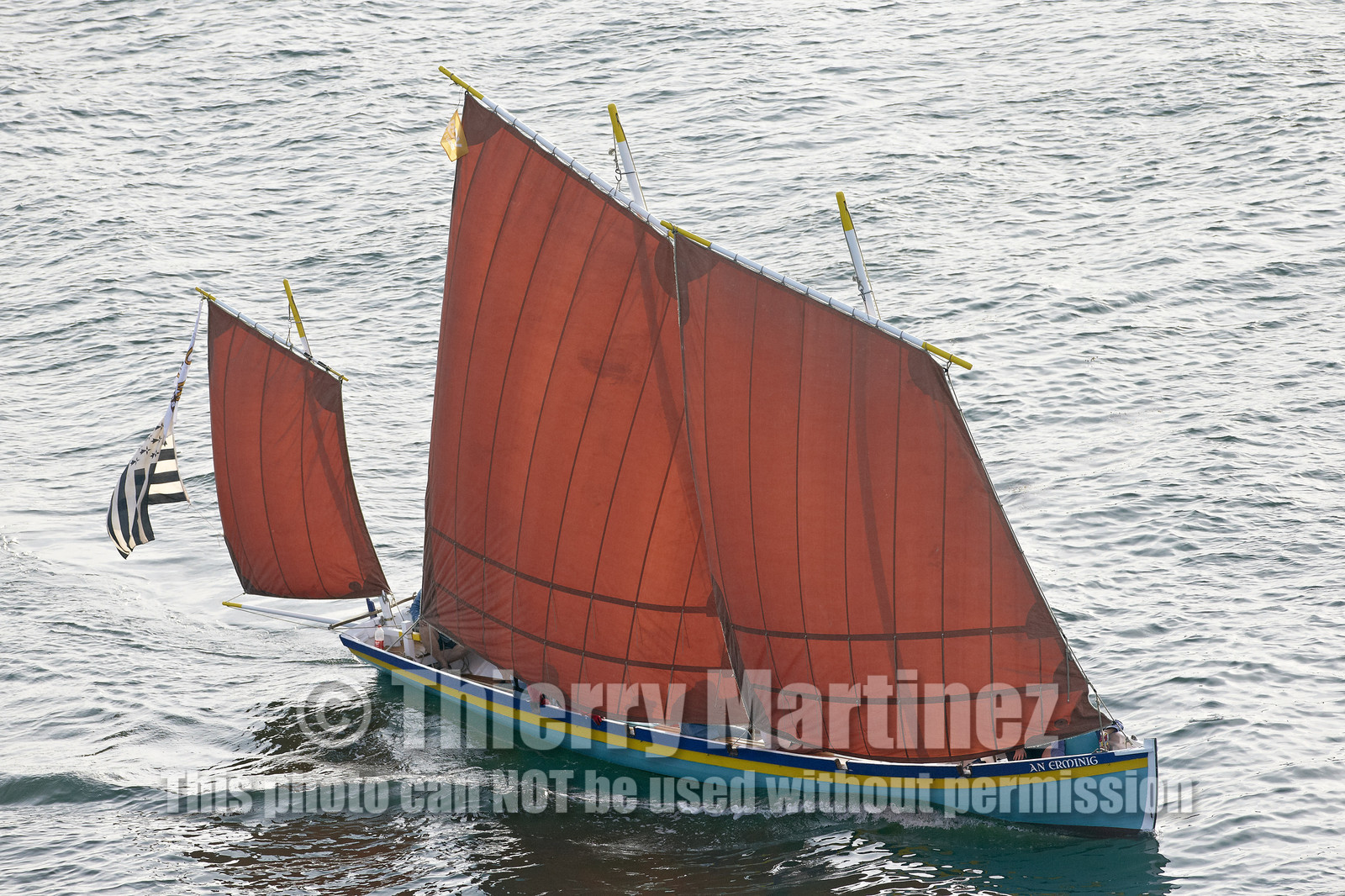 Semaine du Golfe 2015. Parade d'arrivée de la flotte.