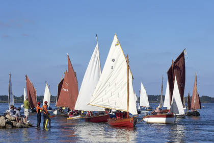 THM-17_011855-Semaine du Golfe