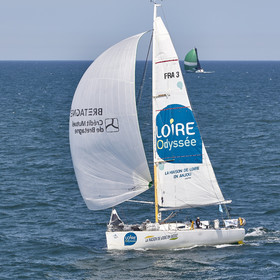22_26877_DRHEAM CUP