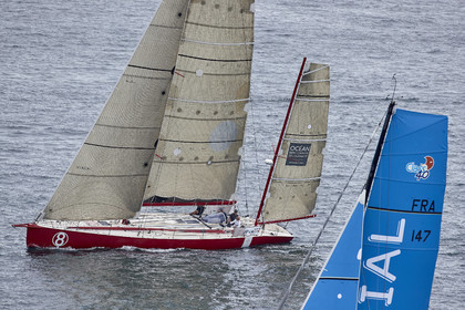 THM-20_10839_DRHEAM CUP