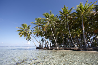 15_024832  ©ThMartinez Sea&Co.  RAIATEA - ILES SOUS LE VENT. POLYNESIE FRANCAISE .  2 Février 2015. ..MOTU dans le lagon de Raiatea.