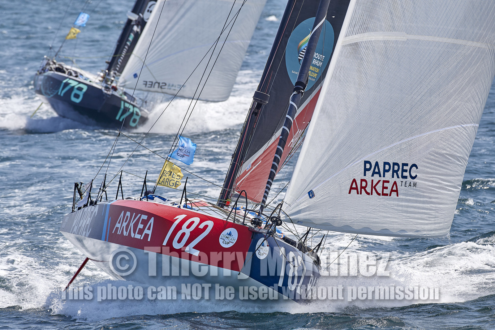 22_27382_DRHEAM CUP