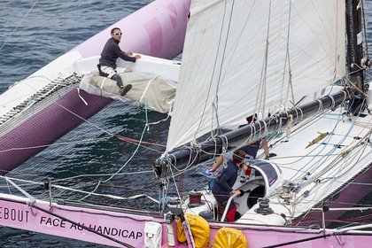 THM-20_10226_DRHEAM CUP