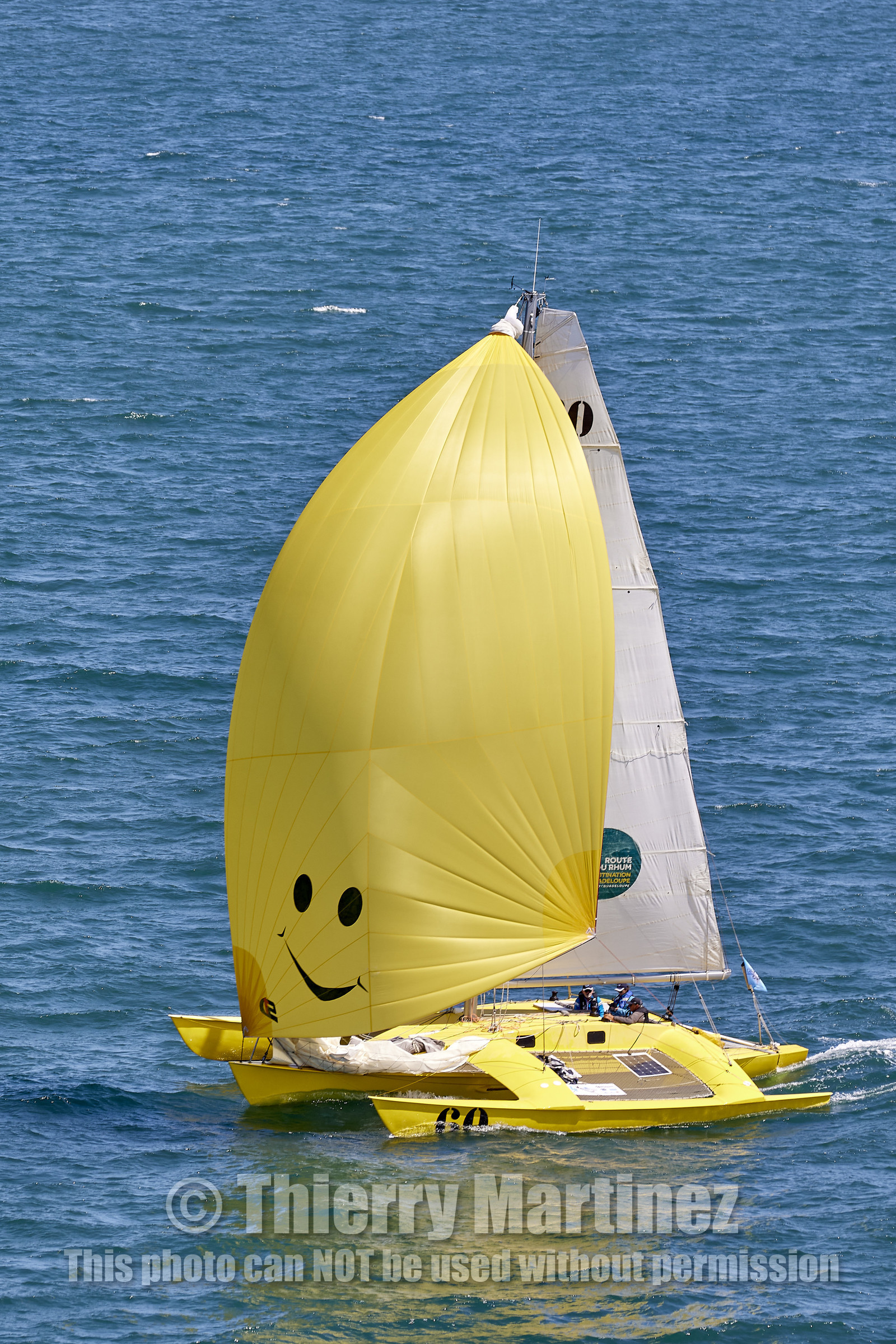 22_24416_DRHEAM CUP