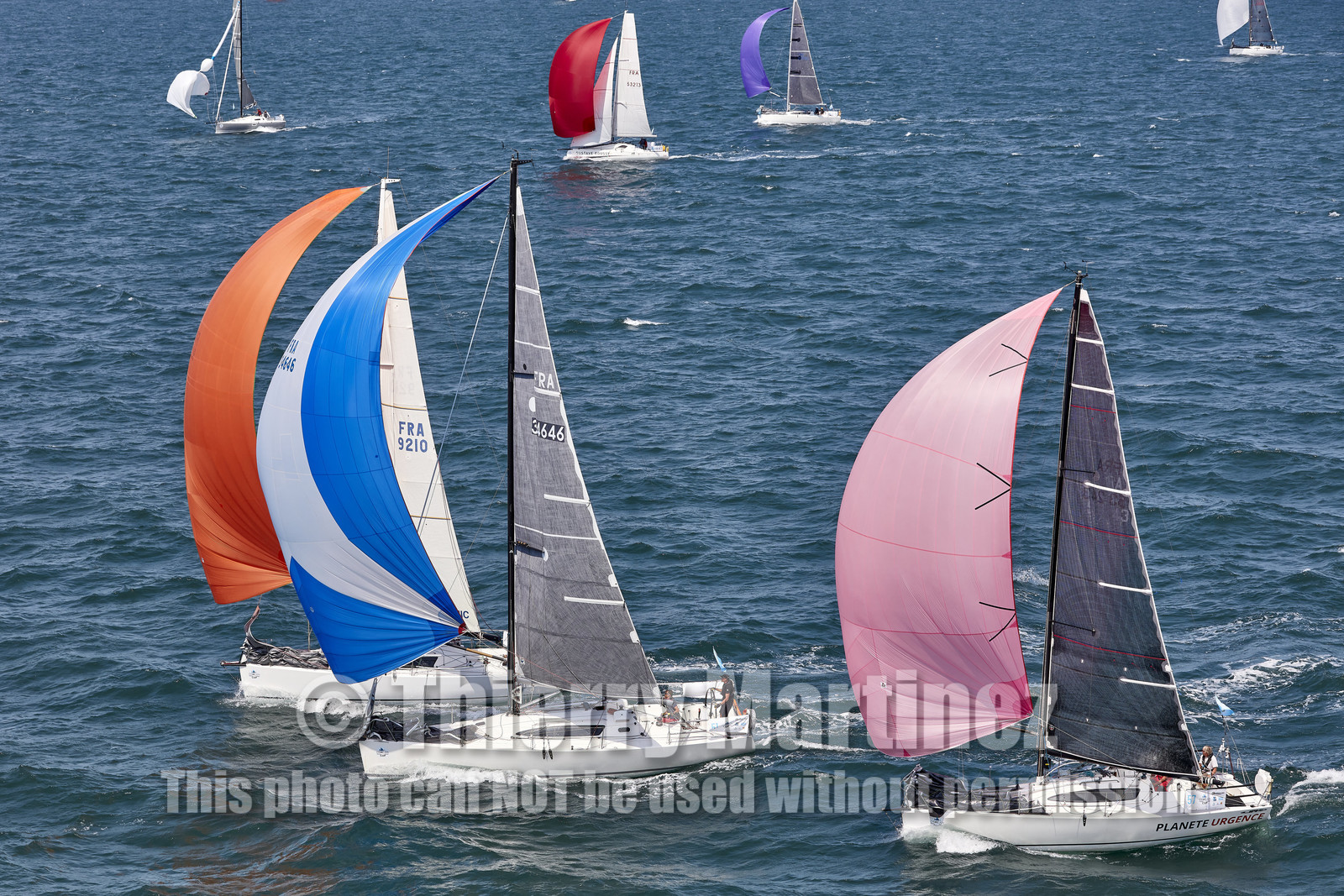 22_26893_DRHEAM CUP