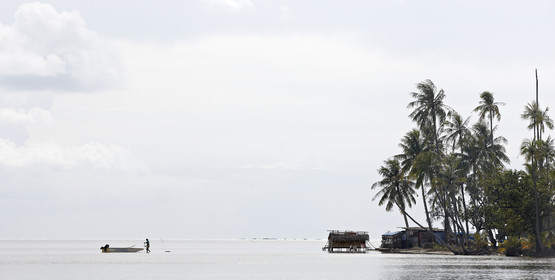 15_024462  ©ThMartinez Sea&Co.  RAIATEA - ILES SOUS LE VENT. POLYNESIE FRANCAISE .  2 Février 2015. ..