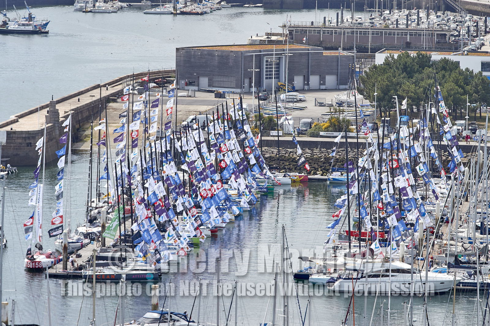 THM-20_08410_DRHEAM CUP