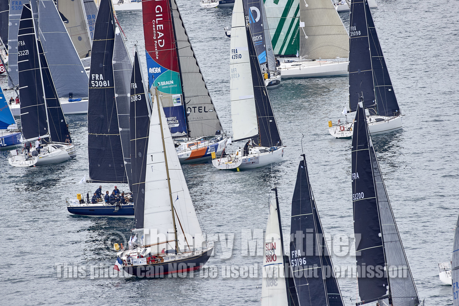 THM-20_10305_DRHEAM CUP