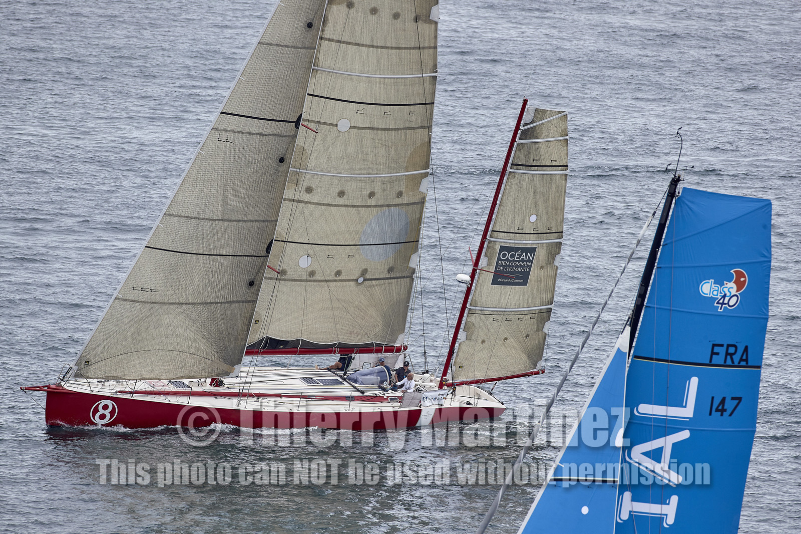 THM-20_10839_DRHEAM CUP