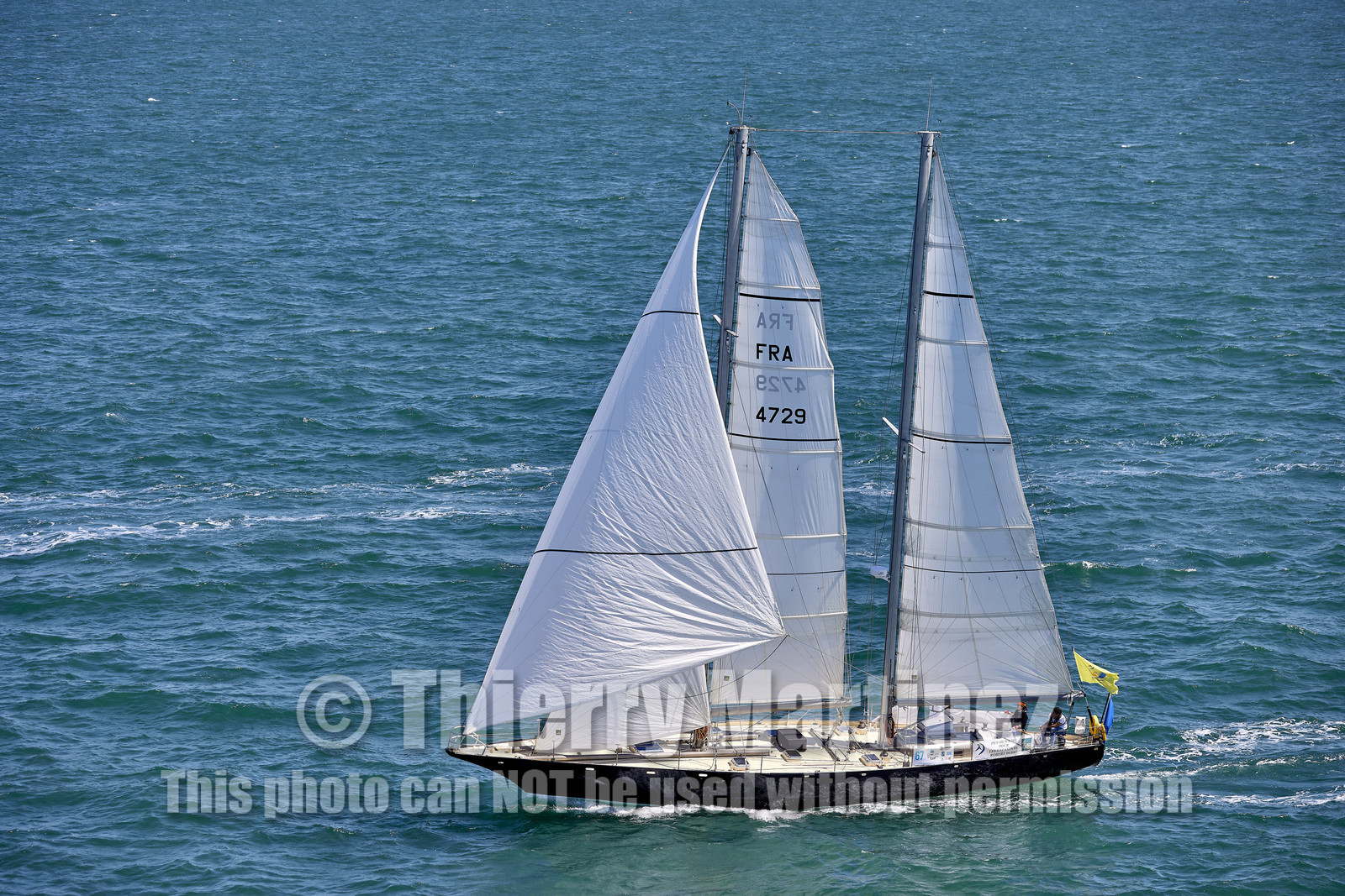 22_24299_DRHEAM CUP