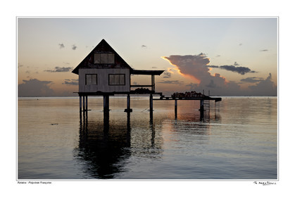 15_25716-- fond blanc -.jpg