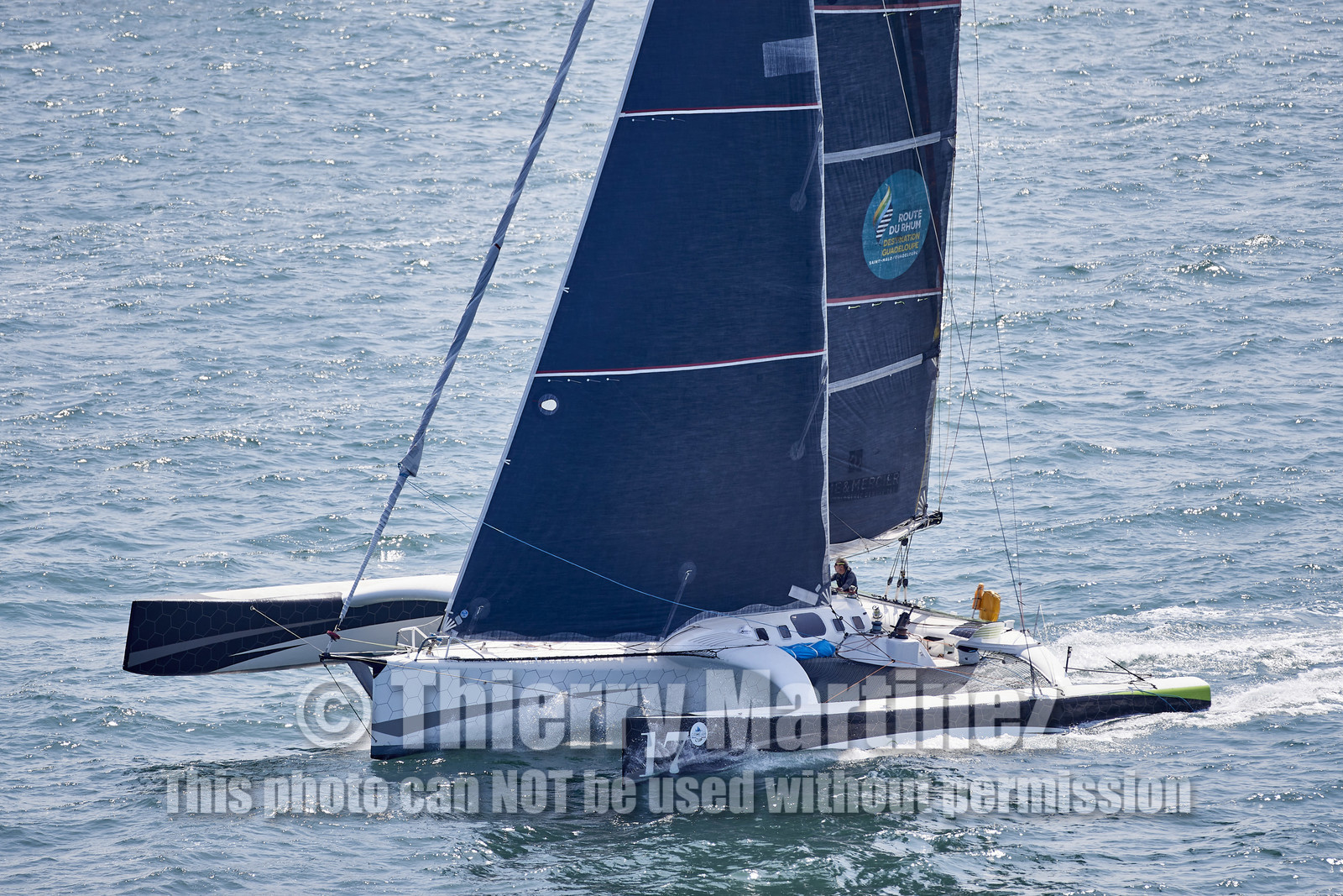 22_27081_DRHEAM CUP