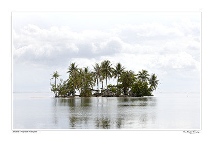 15_24426-- fond blanc -.jpg