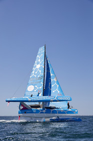 THM-20_12805_DRHEAM CUP