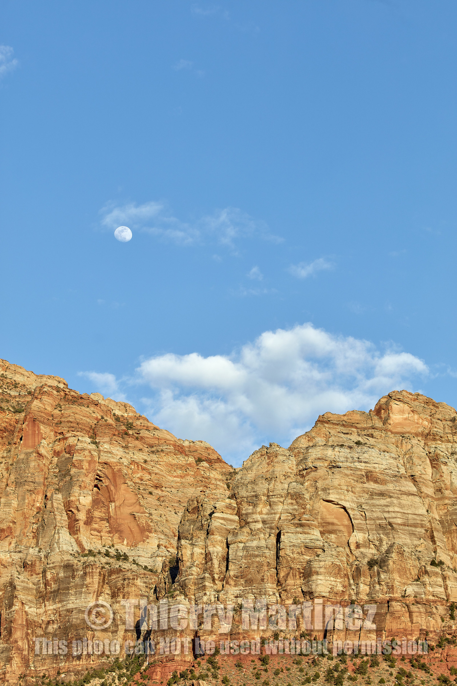 THM-18_052266-ZION Canyon