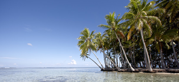 15_024856  ©ThMartinez Sea&Co.  RAIATEA - ILES SOUS LE VENT. POLYNESIE FRANCAISE .  2 Février 2015. ..