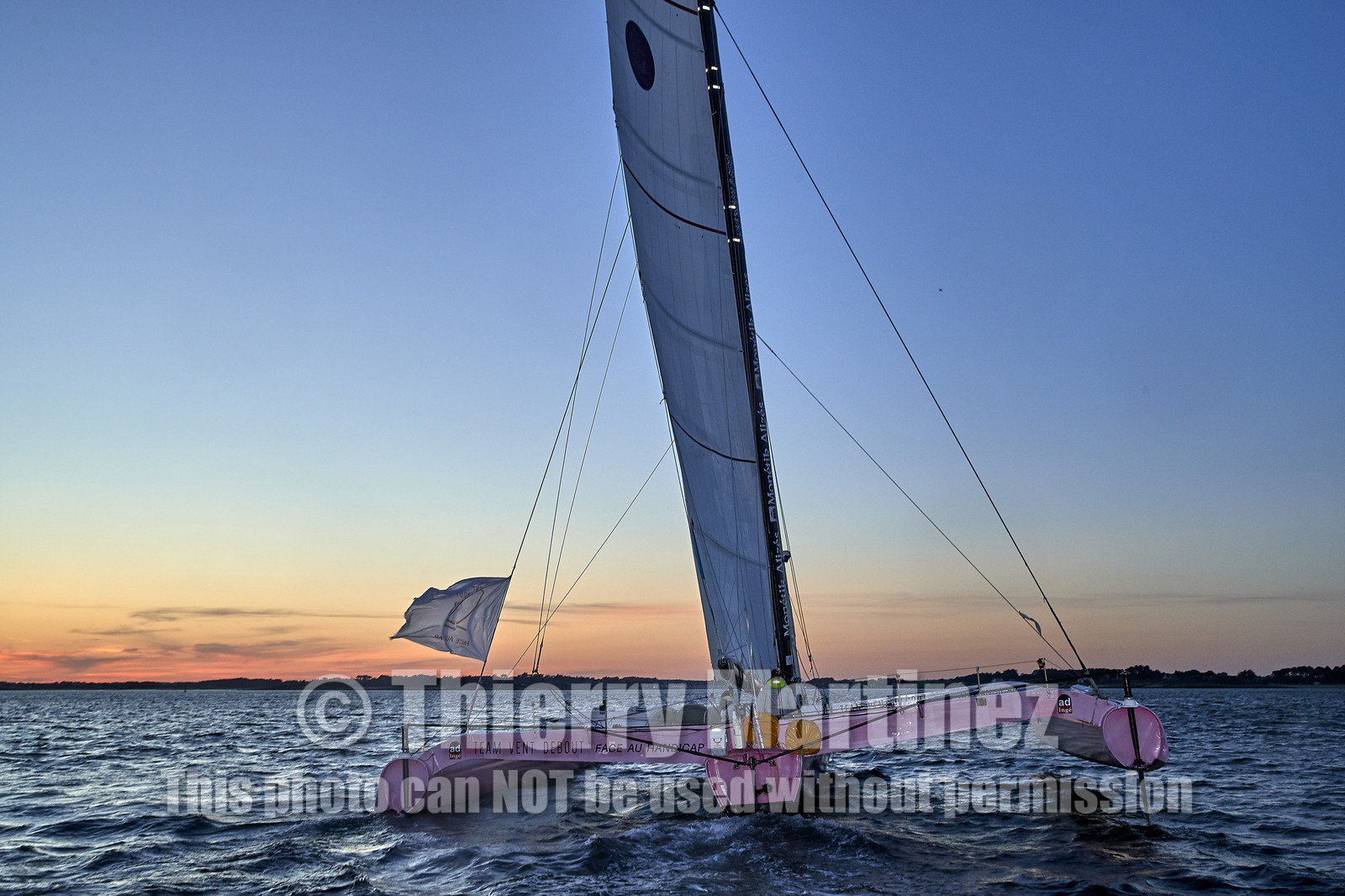 THM-20_13421_DRHEAM CUP