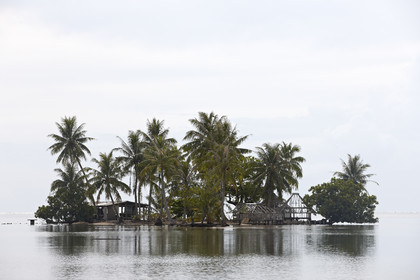 15_024412  ©ThMartinez Sea&Co.  RAIATEA - ILES SOUS LE VENT. POLYNESIE FRANCAISE .  2 Février 2015. ..